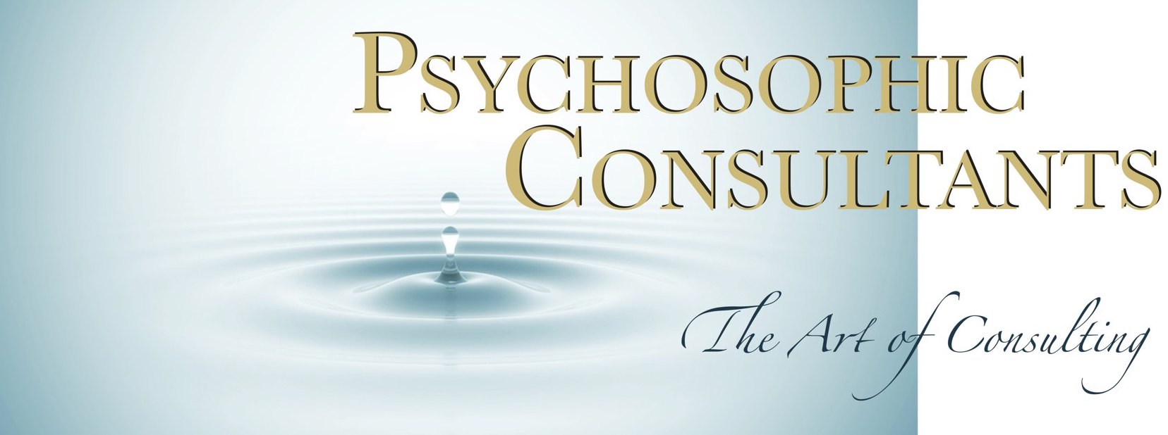 Holographisches Denken - Mentales Werkzeug der Zukunft - Psychosophic Consultants